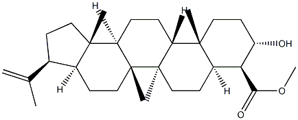 (4S)-3β-Hydroxy-A'-neogammacer-22(29)-en-23-oic acid Structure