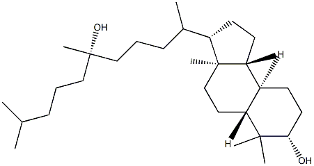 15-Methyl-D-homo-C,30-dinor-13,17a-seco-5α-dammarane-3β,20-diol 구조식 이미지