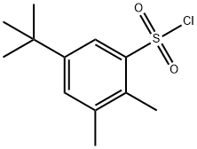 5-tert-butyl-2,3-dimethylbenzenesulfonyl chloride(SALTDATA: FREE) Structure