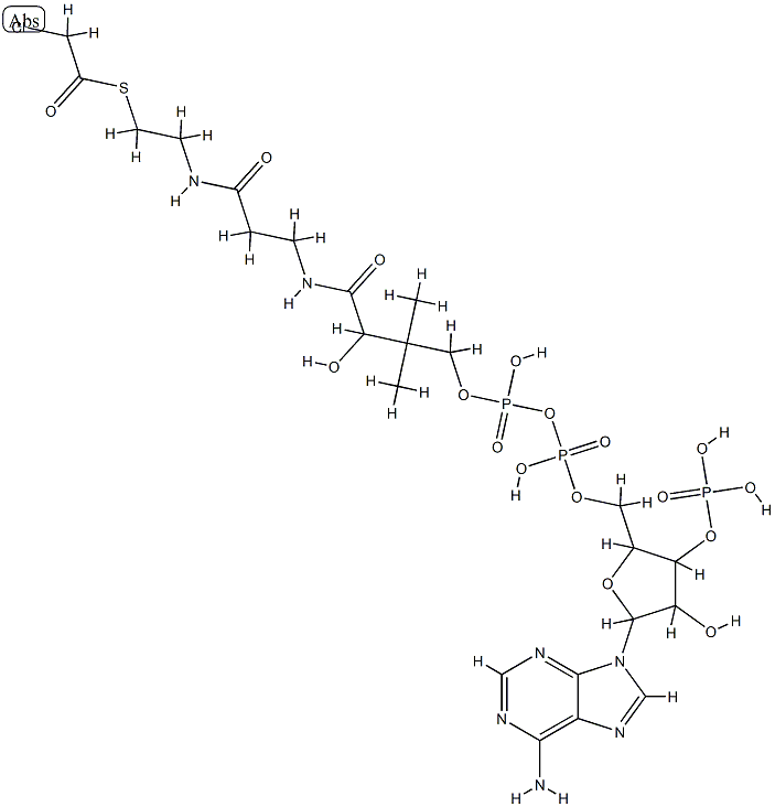 chloroacetyl coenzyme A Structure