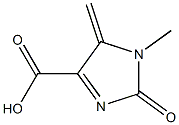 1H-Imidazole-4-carboxylicacid,2,5-dihydro-1-methyl-5-methylene-2-oxo-(9CI) 구조식 이미지