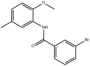3-bromo-N-(2-methoxy-5-methylphenyl)benzamide 구조식 이미지