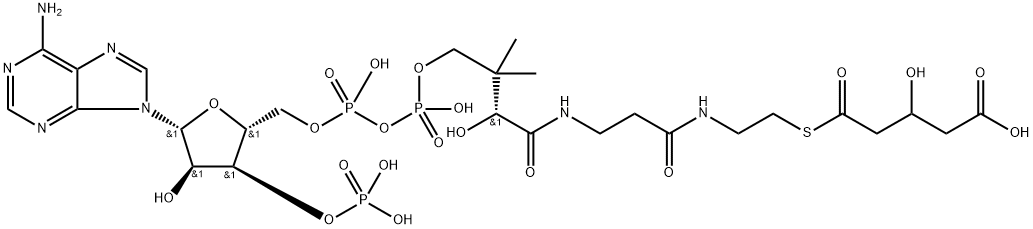 3-하이드록시글루타릴-조효소A 구조식 이미지