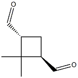 1,3-사이클로부탄디카르복스알데하이드,2,2-디메틸-,(1R,3R)-rel-(9CI) 구조식 이미지