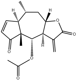 bigelovin Structure