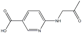 3-Pyridinecarboxylicacid,6-[(2-oxopropyl)amino]-(9CI) Structure