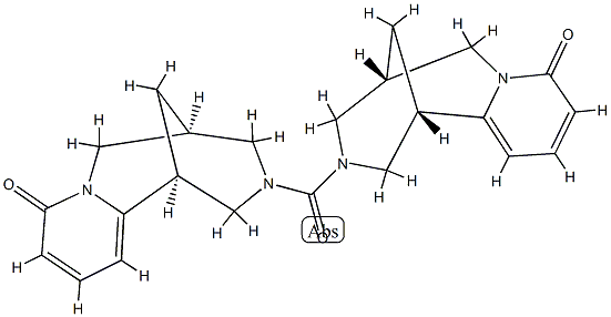 Argentine Structure