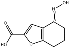 2-Benzofurancarboxylicacid,4,5,6,7-tetrahydro-4-(hydroxyimino)-(9CI) Structure