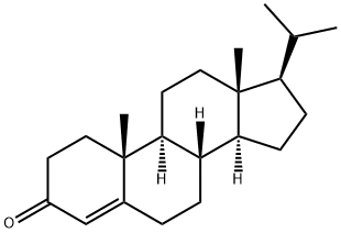 guneribone Structure