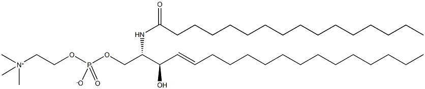 Sphingomyelin Structure