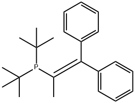 vBRIDP Structure