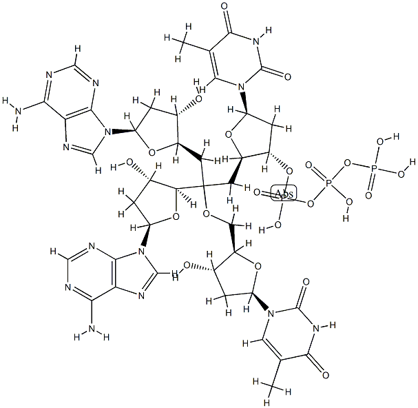 deoxy-(thymidylyl-adenylyl-thymidylyl-adenylic acid) Structure