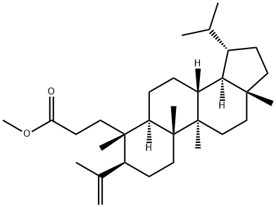 3,4-Secolup-4(23)-엔-3-오산메틸에스테르 구조식 이미지