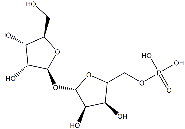 polyribose phosphate Structure