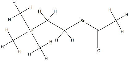 2-아세틸셀라닐에틸-트리메틸-아자늄 구조식 이미지