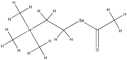 2-acetylselanylethyl-trimethyl-azanium Structure