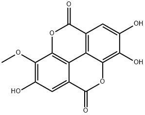 3-О-метилэллаговая кислота структурированное изображение
