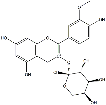 페오니딘-3-O-아라비노시드클로라이드 구조식 이미지