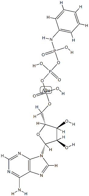 ATP감마아닐리드 구조식 이미지