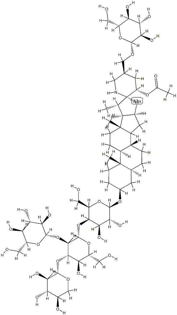 ESCULEOSIDEA Structure