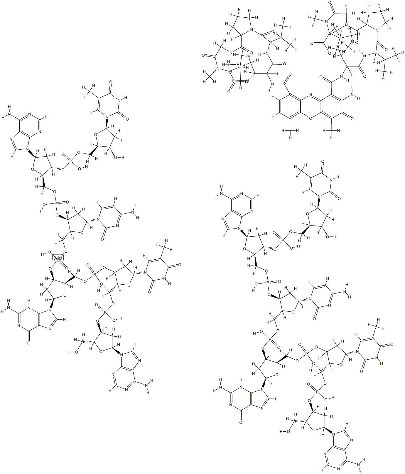 악티노마이신D-dATGCAT복합체 구조식 이미지