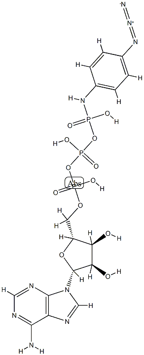 ATP gamma-p-azidoanilide Structure