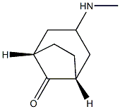 Bicyclo[3.2.1]octan-8-one, 3-(methylamino)-, (3-exo)- (9CI) Structure