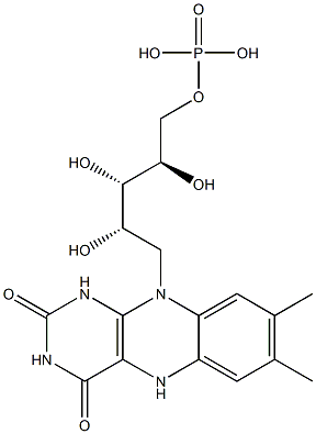 FMNH Structure