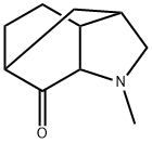 3,6-Methano-7H-indol-7-one,octahydro-1-methyl-(9CI) Structure