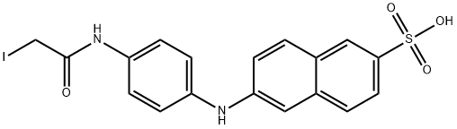 IAANS Structure