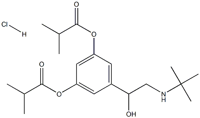 (±)-5-[2-[(1,1-dimethylethyl)amino]-1-hydroxyethyl]-1,3-phenylene bisisobutyrate hydrochloride   Structure