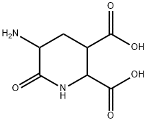 2,3-Piperidinedicarboxylicacid,5-amino-6-oxo-(9CI) Structure