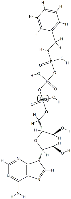 ATP gamma-benzylamide Structure