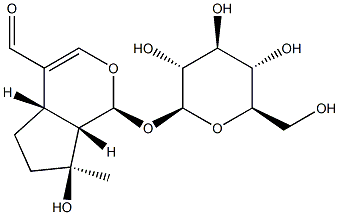 (1S)-1-(β-D-Glucopyranosyloxy)-1,4aα,5,6,7,7aα-hexahydro-7α-hydroxy-7-methylcyclopenta[c]pyran-4-carbaldehyde Structure