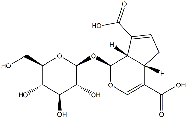 (1S)-1α-(β-D-Glucopyranosyloxy)-1,4aα,5,7aα-tetrahydrocyclopenta[c]pyran-4,7-dicarboxylic acid Structure