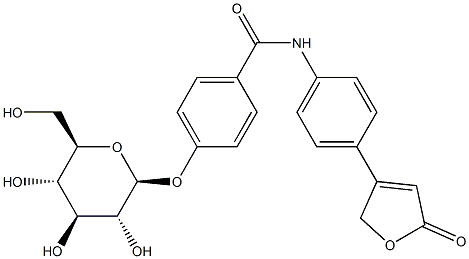 IP 24 Structure