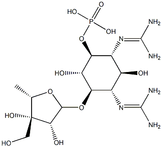 dihydrostreptosyl streptidine 6-phosphate Structure