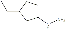 1-(3-ethylcyclopentyl)hydrazine 구조식 이미지