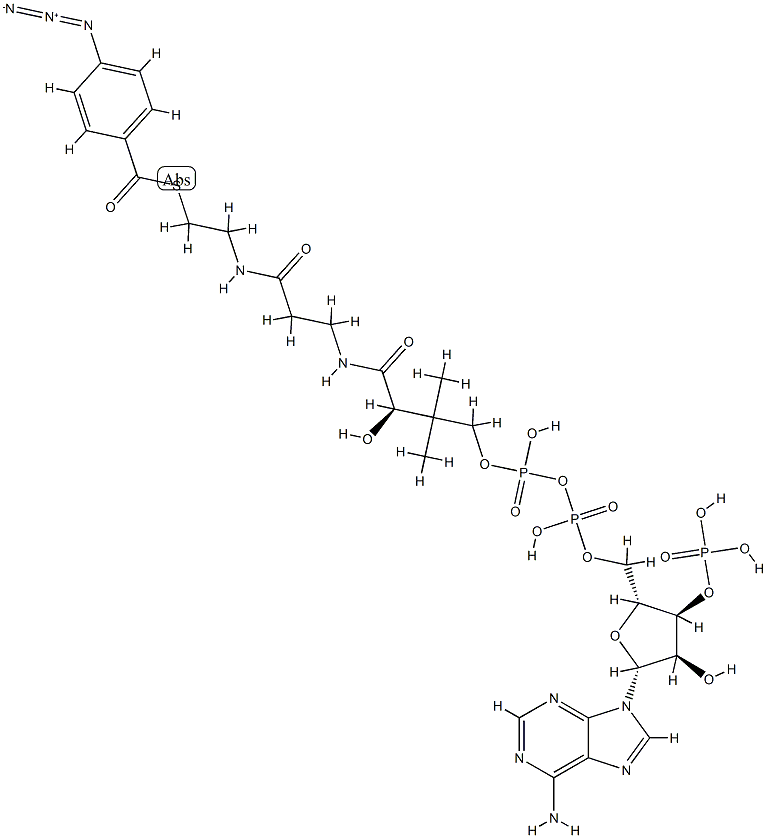 4-azidobenzoyl-coenzyme A Structure