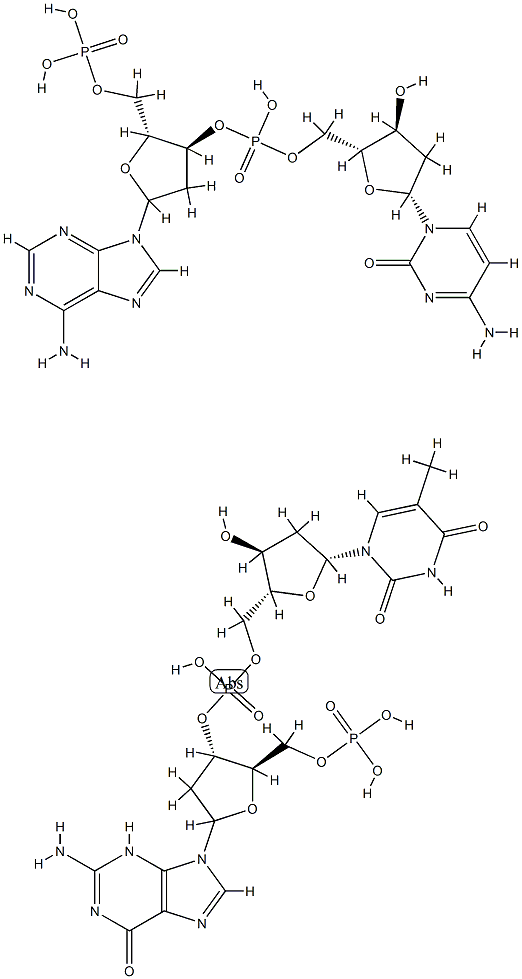 poly(d(A-C).d(G-T)) Structure