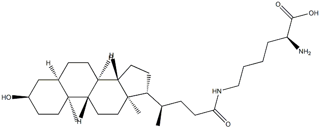 N-epsilon-lithocholyllysine Structure