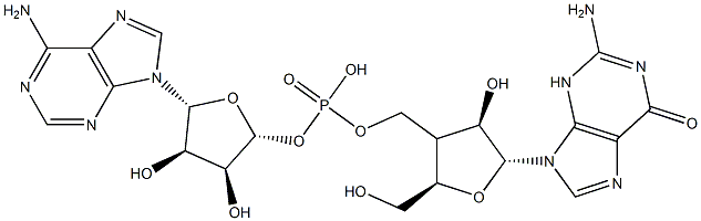 adenylyl-(5'->3')-guanosine 구조식 이미지