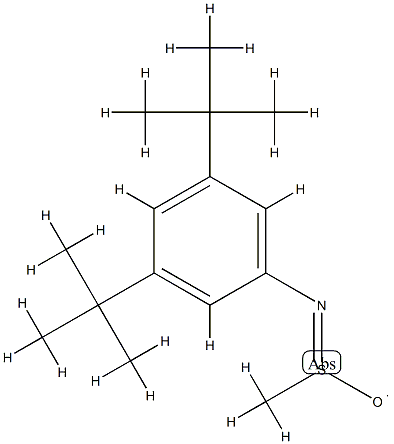 N-(3,5-Di-tert-butylphenyl)methanesulfinamido radical 구조식 이미지
