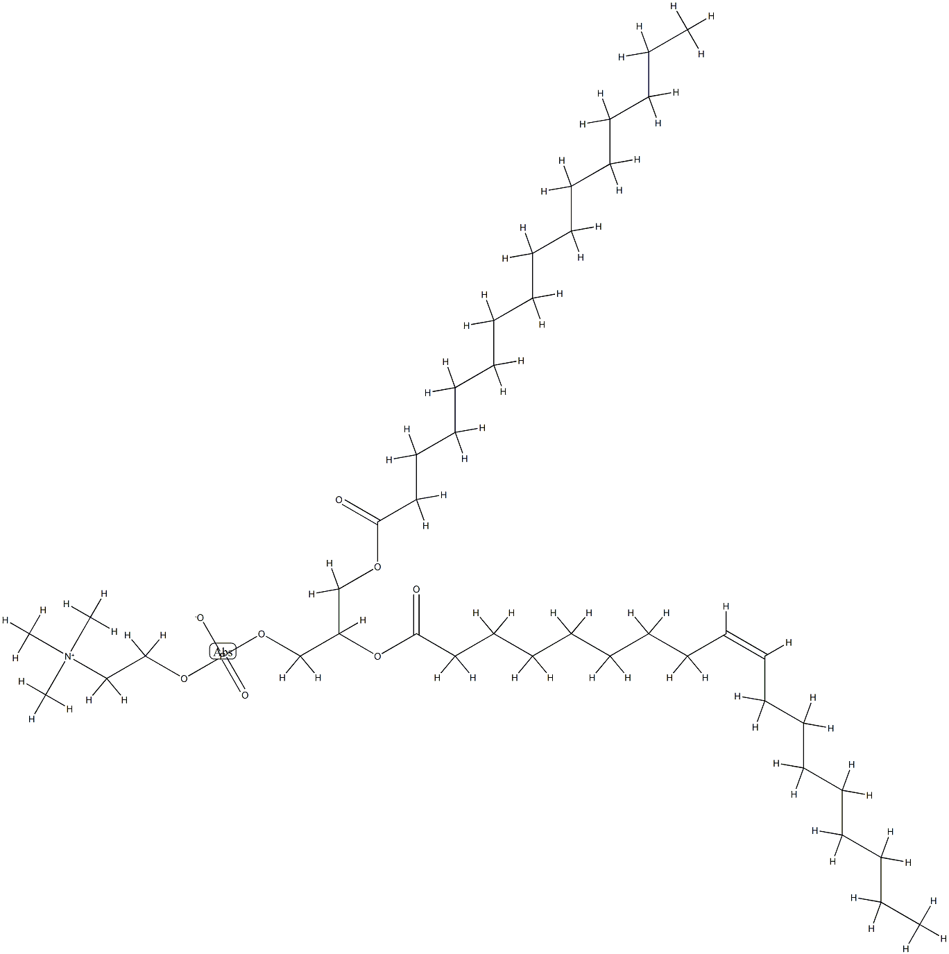 1-palmitoyl-2-oleoylphosphatidylcholine 구조식 이미지