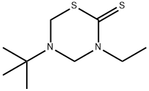 2H-1,3,5-Thiadiazine-2-thione,5-(1,1-dimethylethyl)-3-ethyltetrahydro-(9CI) 구조식 이미지