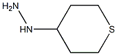 1-(tetrahydro-2H-thiopyran-4-yl)hydrazine 구조식 이미지