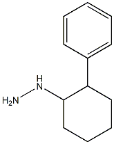 1-(2-phenylcyclohexyl)hydrazine Structure