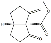 3a(1H)-Pentalenecarboxylicacid,hexahydro-3-methylene-4-oxo-,methylester,(3aR,6aR)-rel-(9CI) Structure