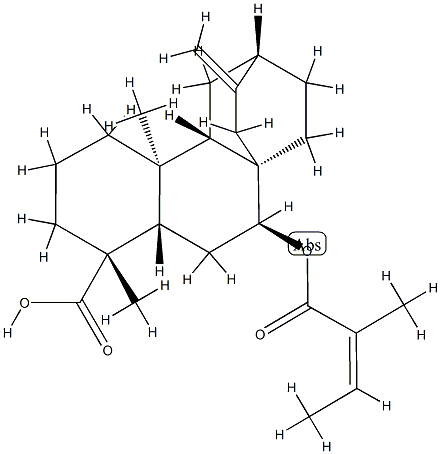 (4R,5β,8α,9β,10α,12α)-7β-[[(Z)-2-Methyl-1-oxo-2-butenyl]oxy]atis-16-en-18-oic acid 구조식 이미지
