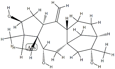 Grayanotox-10(20)-ene-3β,5,6β,16-tetrol Structure